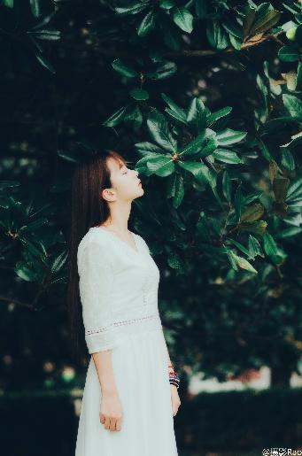 斗罗大陆2绝世唐门在线观看全集