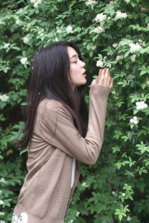 电影荷兰姑娘们